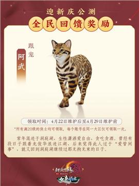 天龙八部私服法宝系统如何提升战斗力